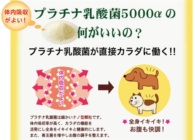 人気の犬猫の腸活サプリ！プラチナ乳酸菌5000を試してみた